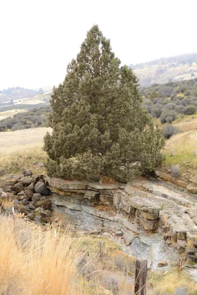 DSC_3138 (Large).JPG